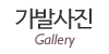 가발사진