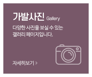 가발앤가발_메인중간_가발사진